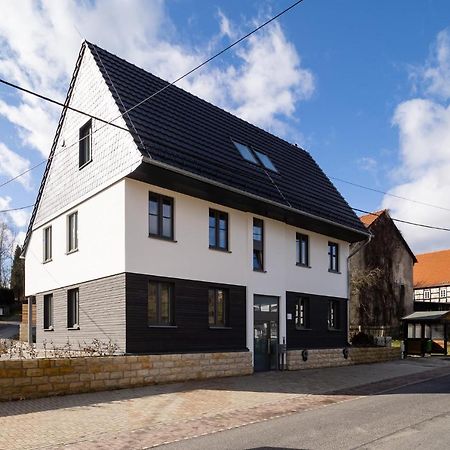 Neues Ferienhaus Kurort Gohrisch Zewnętrze zdjęcie