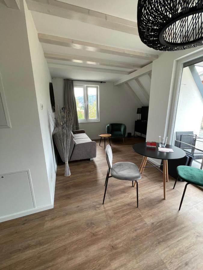 Neues Ferienhaus Kurort Gohrisch Zewnętrze zdjęcie